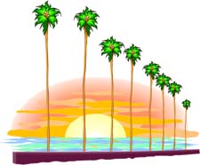 palms sunset